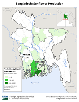 images\BG\cropprod\Bangladesh_Sunflowerseed_preview.png